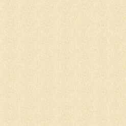 Olympic Patio Tones Deck Coating 1 Gallon, Champagne -Crystal Pool Shop 3558 b sq