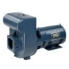 Pentair Sta-Rite D Series Cast Iron Pump 230V, 3 HP -Crystal Pool Shop 4096 a sq