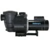 Doheny's Inground Pool Pump, 115/230V, 1.5 HP (1.35 THP)