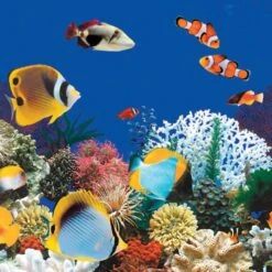 Swimline Beaded Pool Liner, 52 In Wall, 12x24 Ft Oval, 25 Gauge, Caribbean -Crystal Pool Shop caribbean square 32