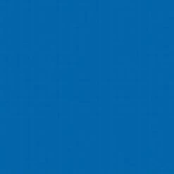 SR Smith Olympian Aluminum Diving Board, 12 Ft, Blue