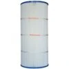 Pleatco PA125Q2 Filter Cartridge, 2 Pack - Discontinued